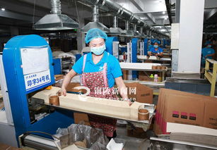 紙制產(chǎn)品與日用百貨 日常生活不可或缺的銷售雙星